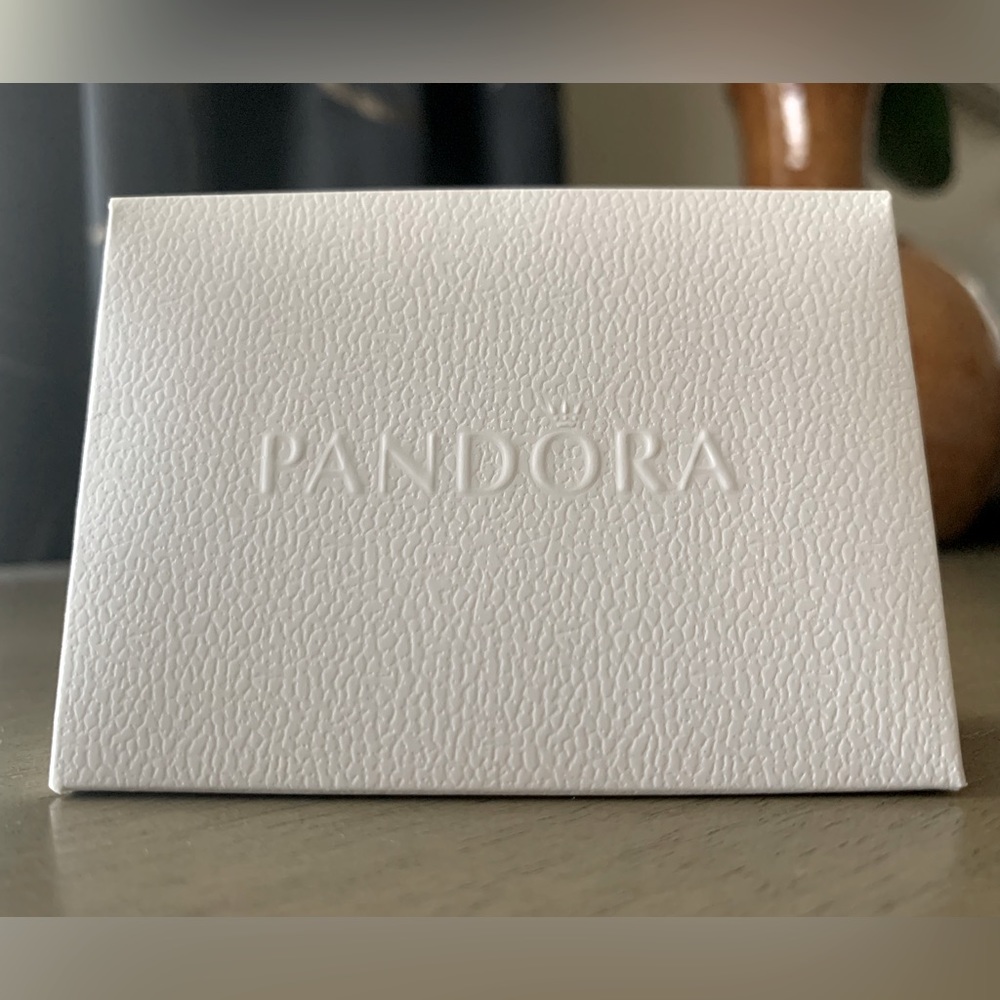 Pandora Small Bag. Perfect for charm or a ring.